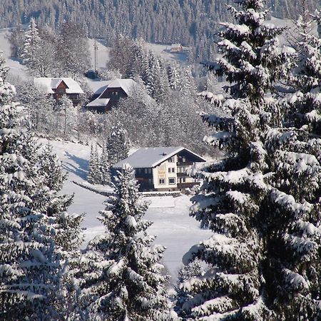 Cozy Apartment In Afritz Am See Near Gerlitzen Ski Area Buitenkant foto